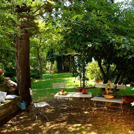 Il Papavero Relais Bed & Breakfast Senigallia