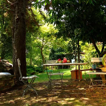 Il Papavero Relais Bed & Breakfast Senigallia