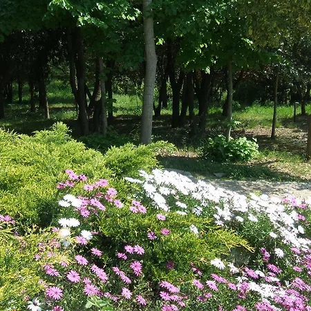 Bed & Breakfast Il Papavero Relais Senigallia